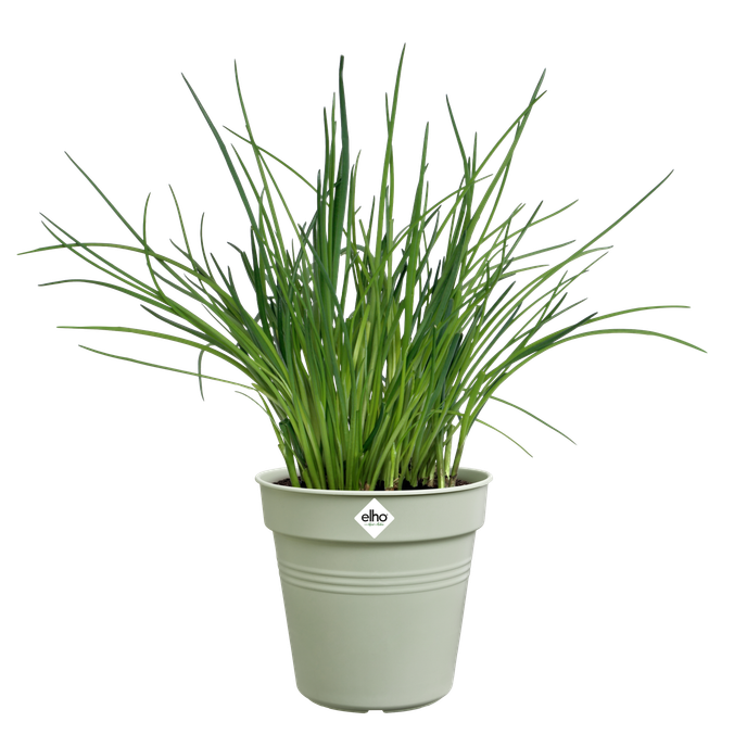 green basics growpot 15cm stone green